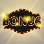 Bonus Rollover with CasinoScout Single-Line Turnover